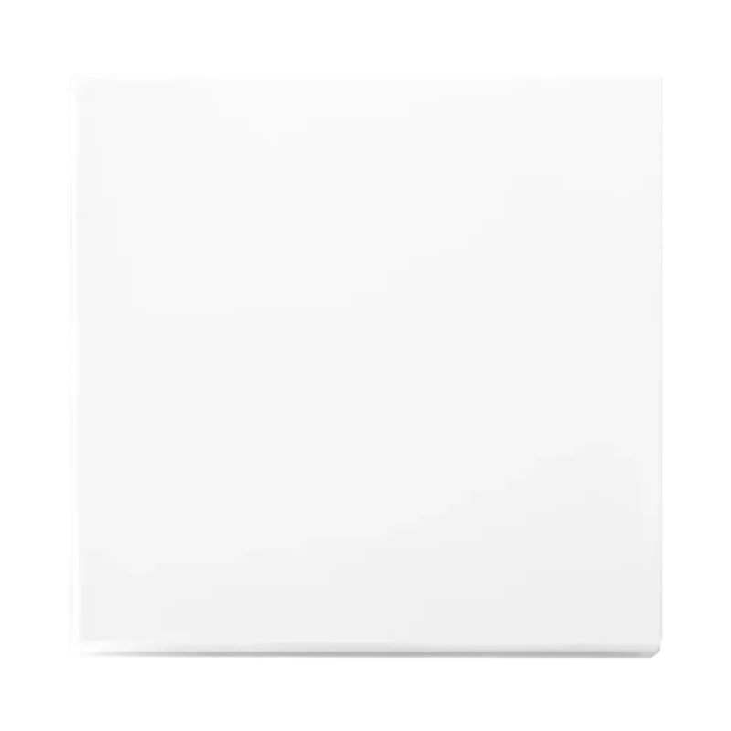 Tastdimmer Knop Enkelvoudig V1/J1 Alpin Wit